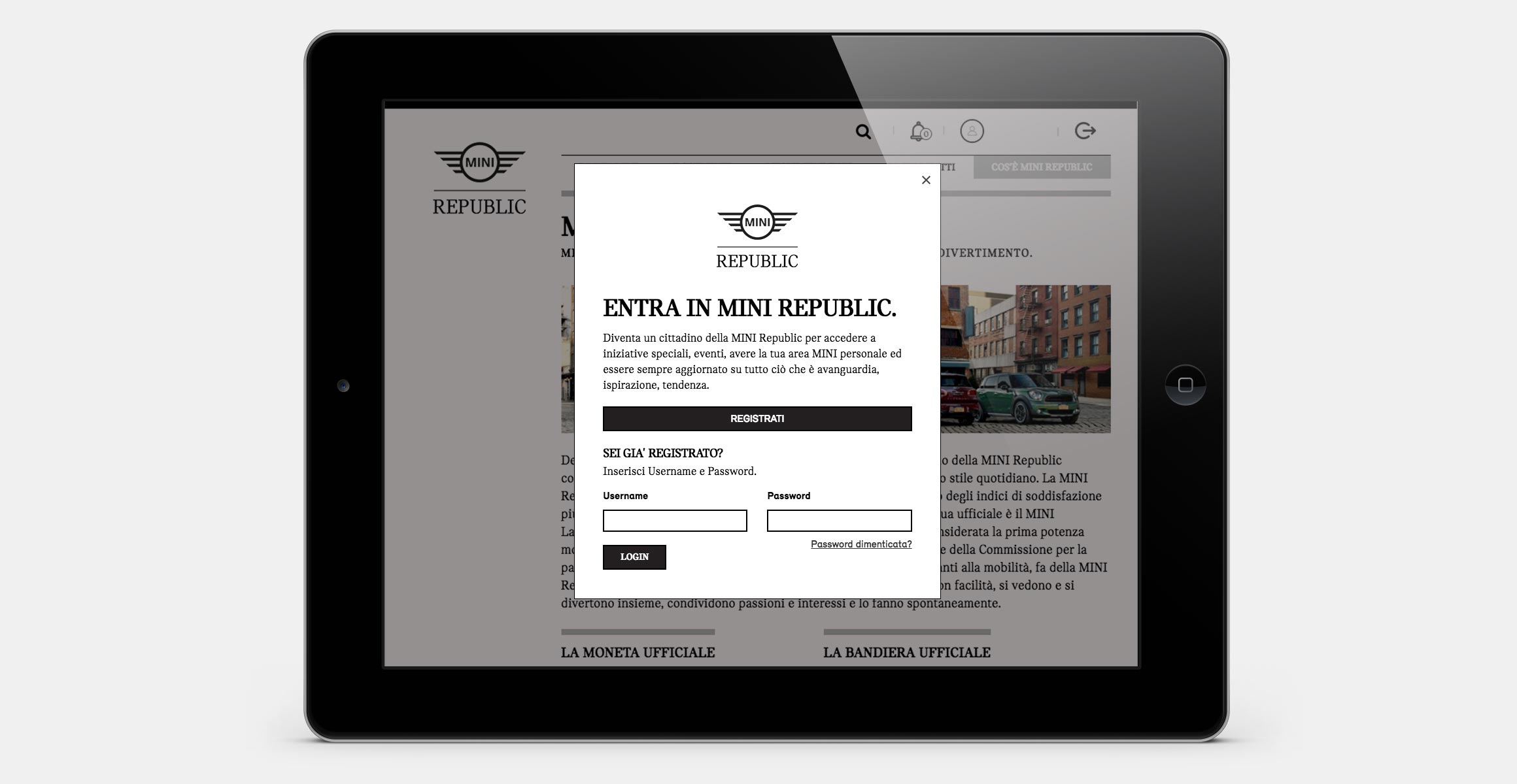 MINI Republic — immagine del progetto